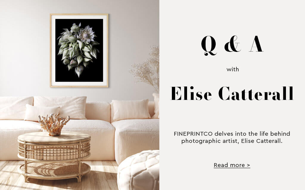 Elise Catterall Q&A