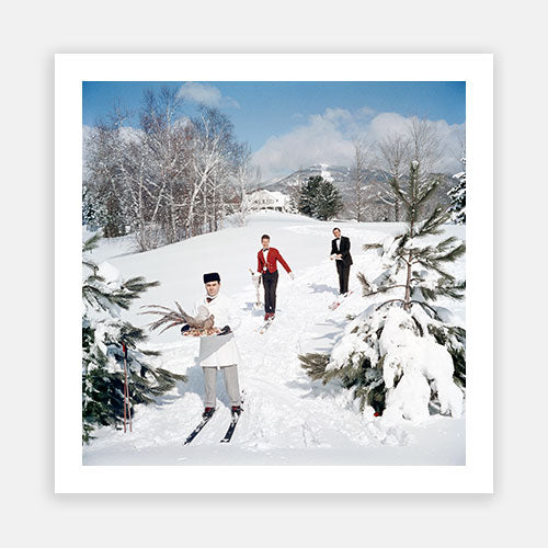 Skiing Waiters