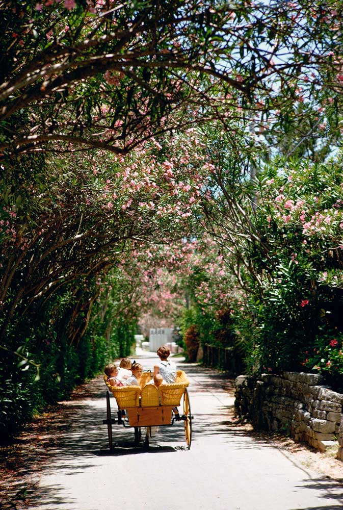 Wall Art Viewer Frames Render