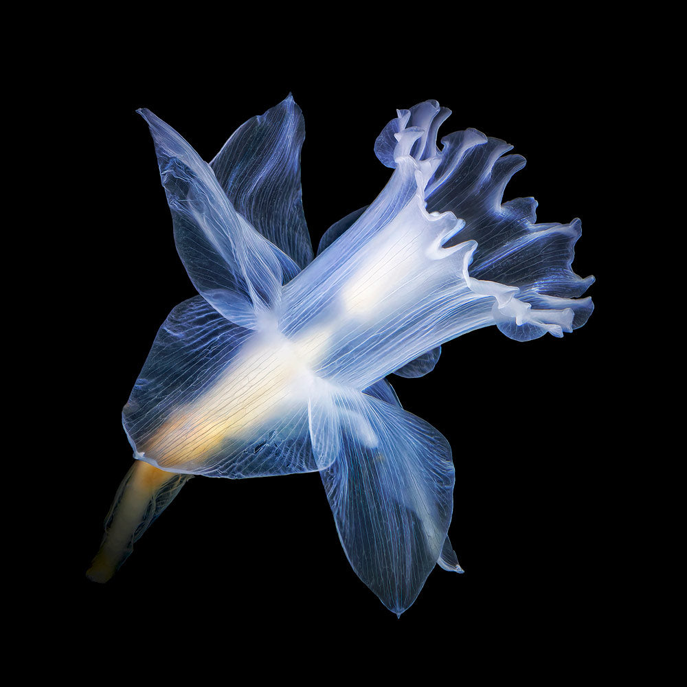 Wall Art Viewer Frames Render