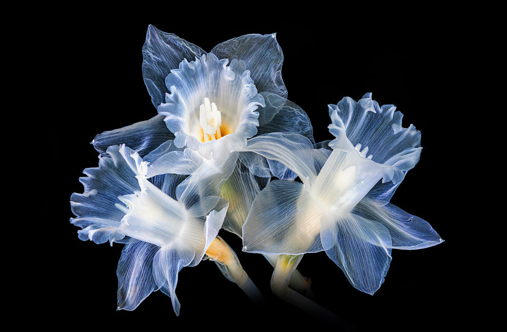 Wall Art Viewer Frames Render