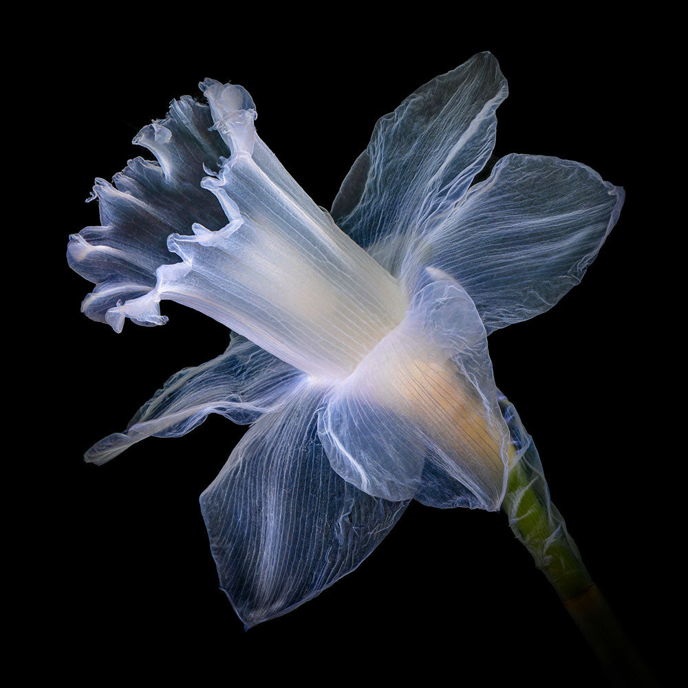 Wall Art Viewer Frames Render