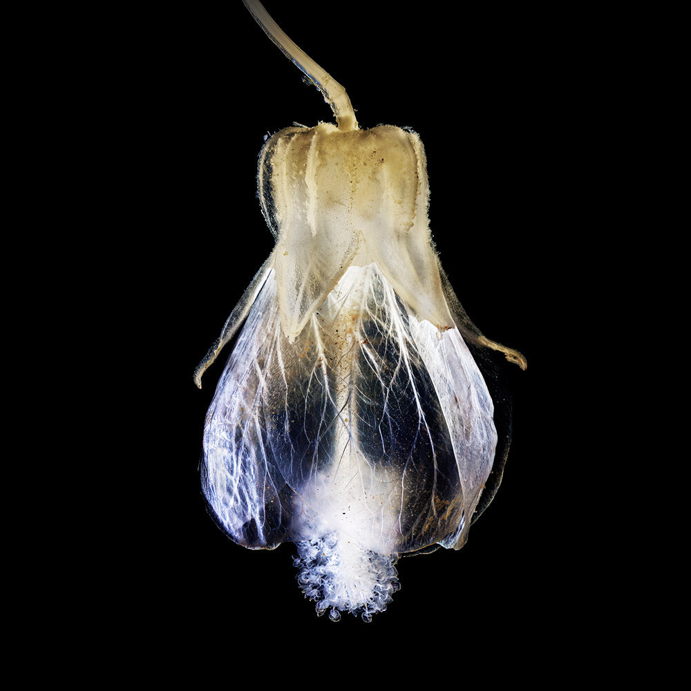 Wall Art Viewer Frames Render