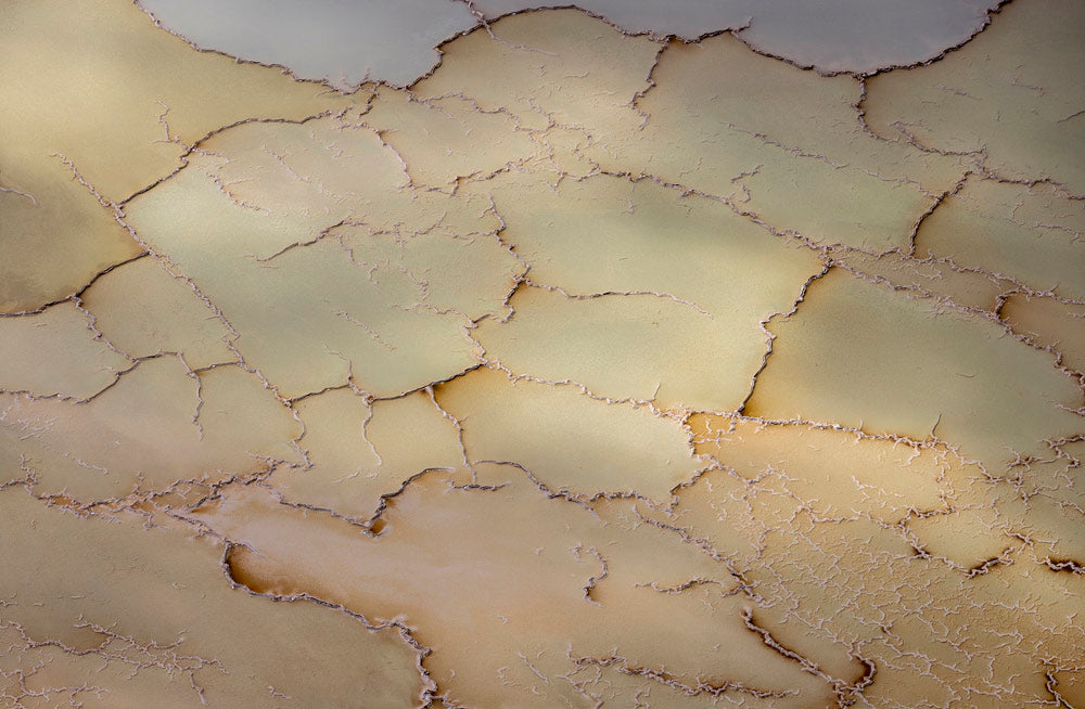 Wall Art Viewer Frames Render