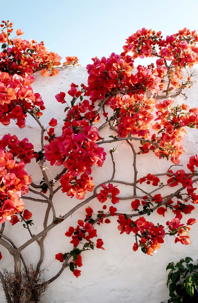 Wall Art Viewer Frames Render