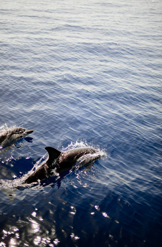 Wall Art Viewer Frames Render