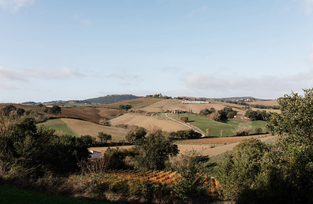 Wall Art Viewer Frames Render