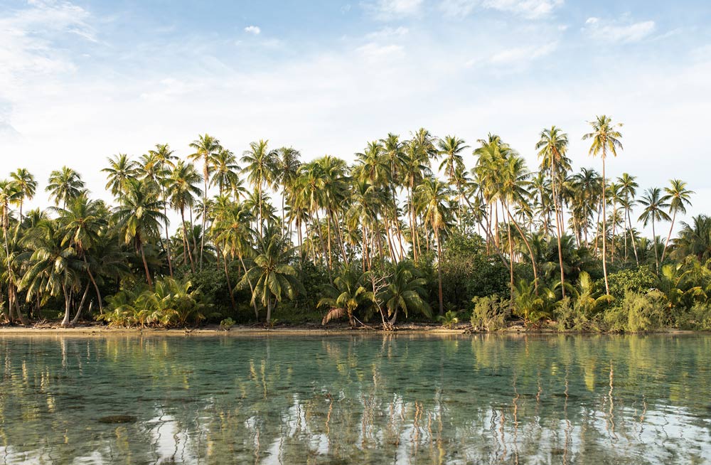 Wall Art Viewer Frames Render