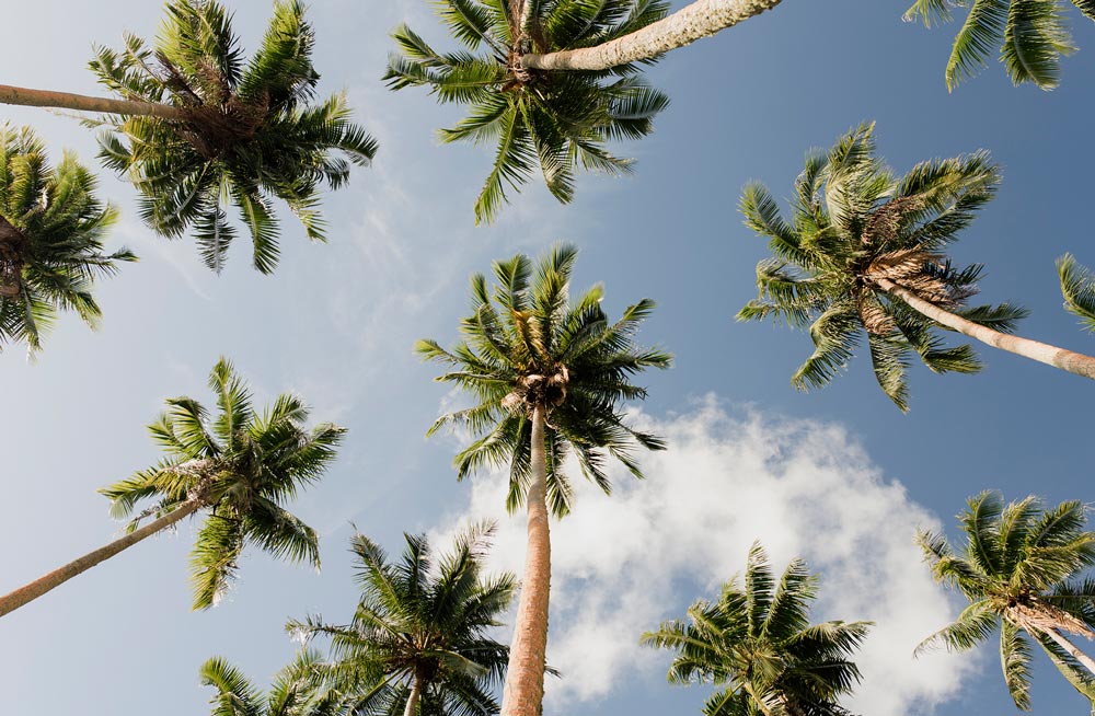 Wall Art Viewer Frames Render