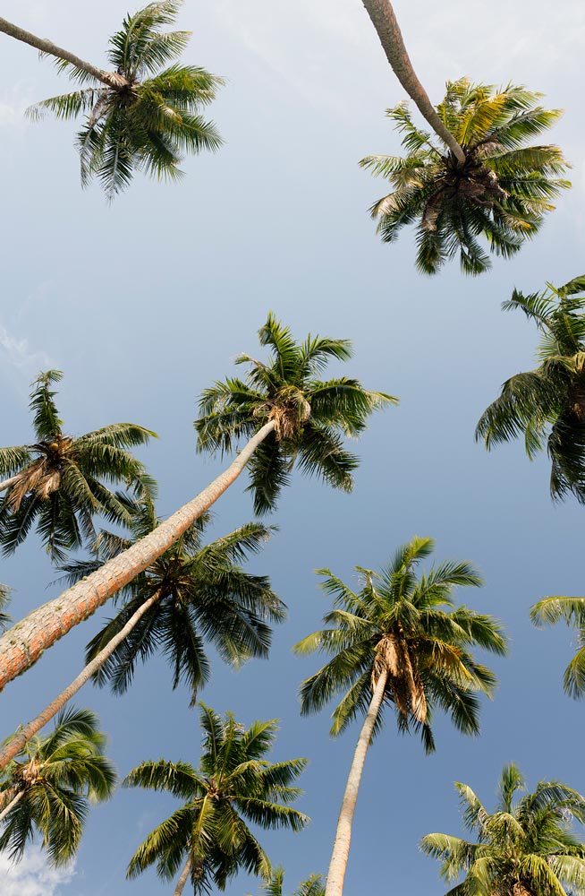 Wall Art Viewer Frames Render