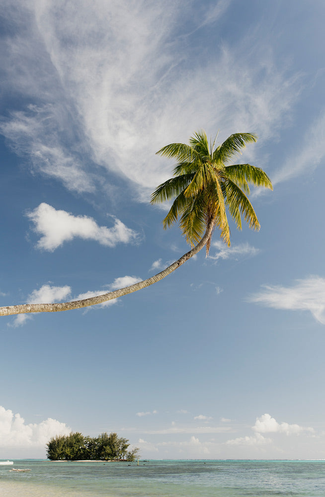 Wall Art Viewer Frames Render