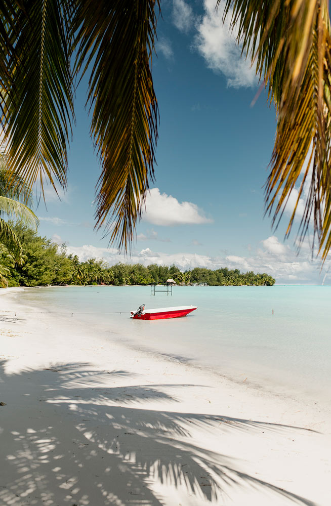 Wall Art Viewer Frames Render