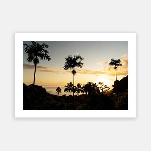 Tahiti Palm Sunset 01