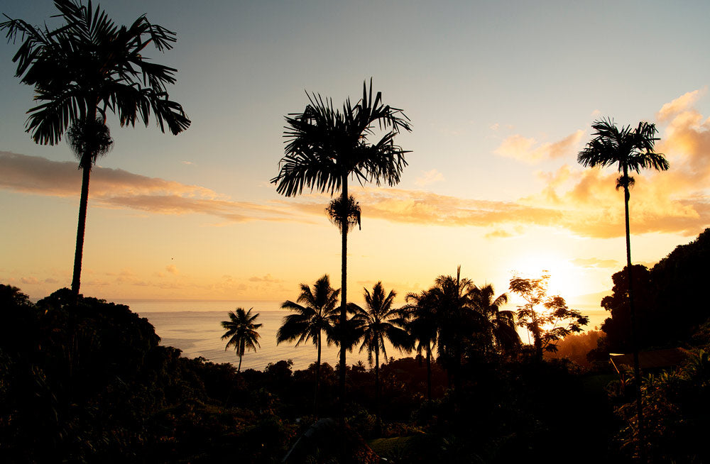 Wall Art Viewer Frames Render