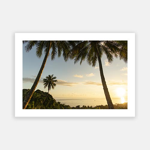 Tahiti Palm Sunset 02