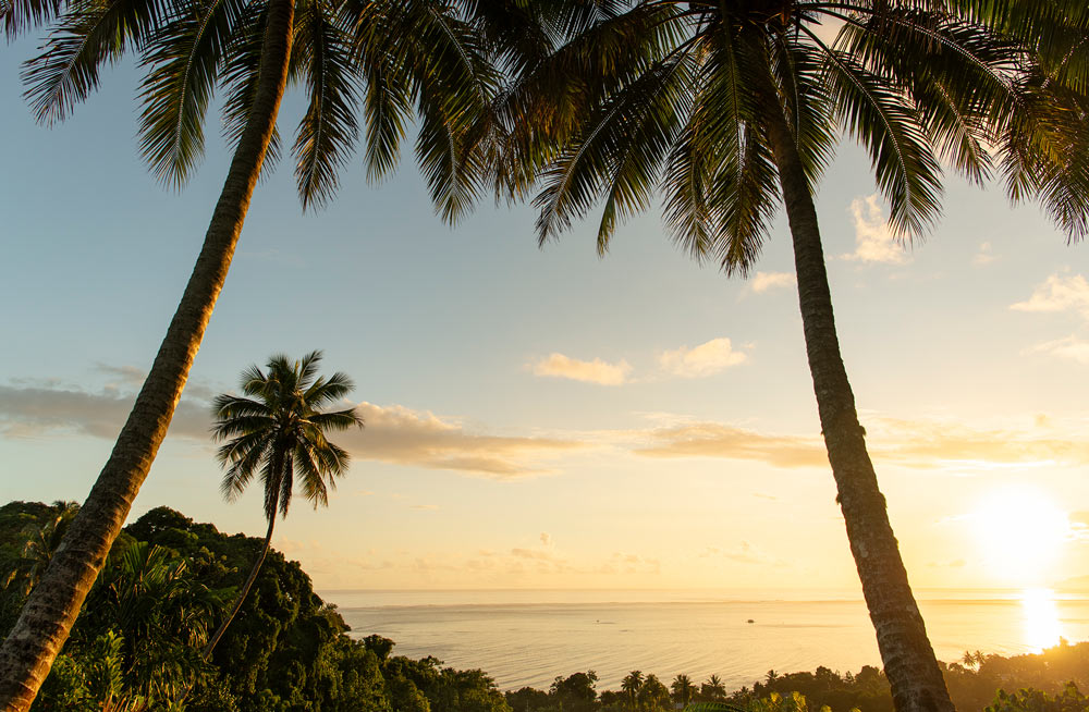 Wall Art Viewer Frames Render