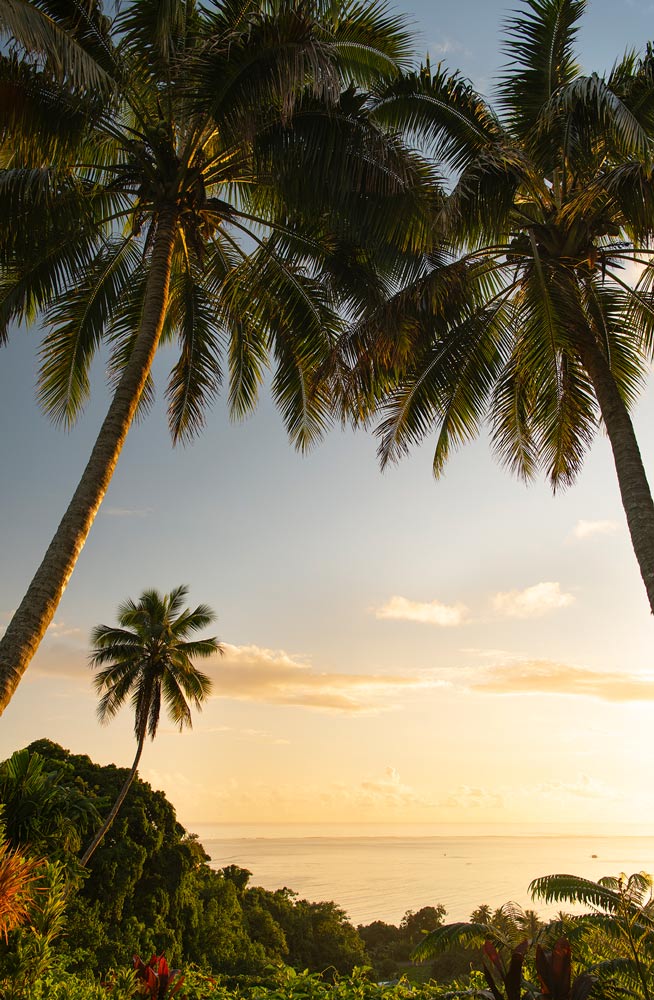 Wall Art Viewer Frames Render