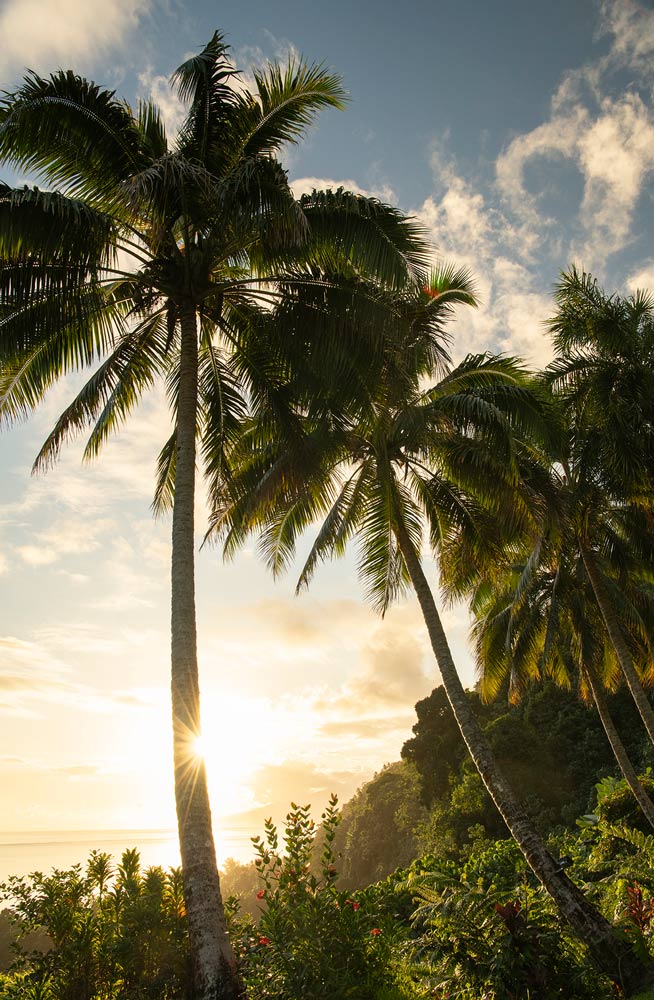 Wall Art Viewer Frames Render