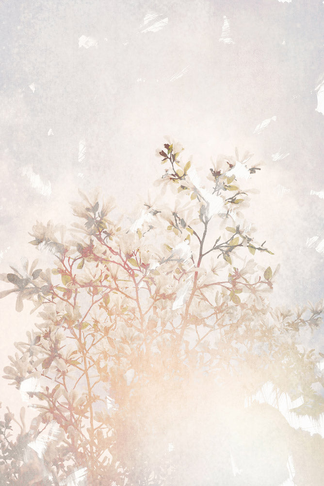 Wall Art Viewer Frames Render