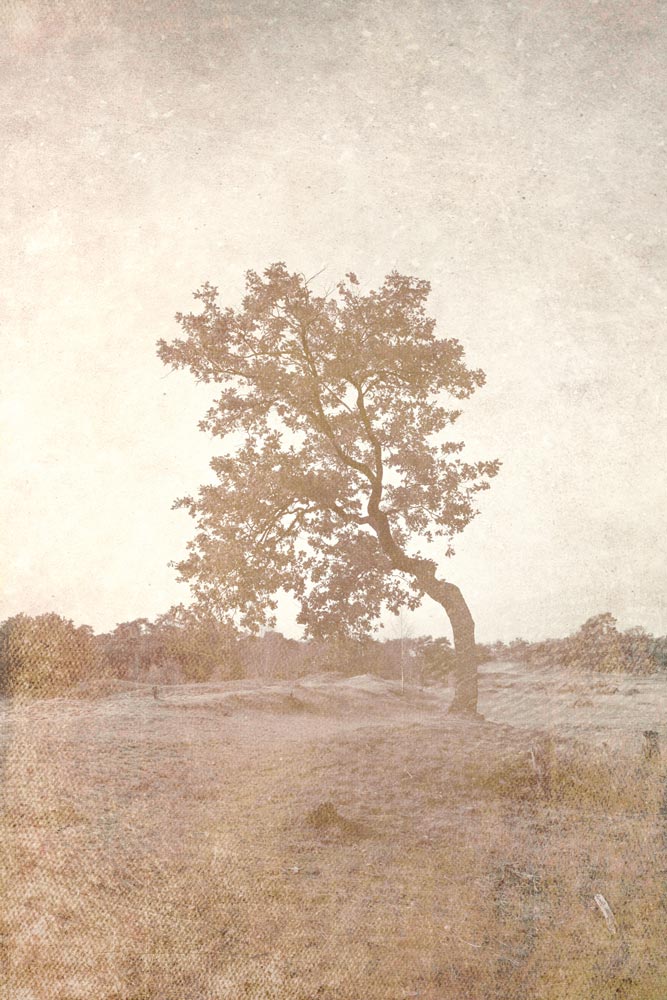 Wall Art Viewer Frames Render