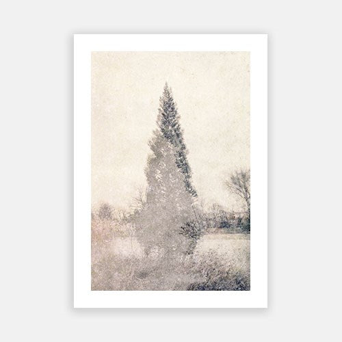 Mystic Tree - Autumn