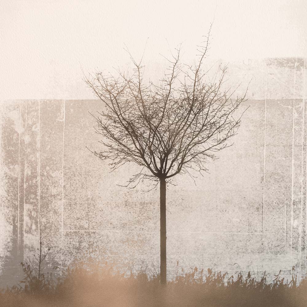 Wall Art Viewer Frames Render