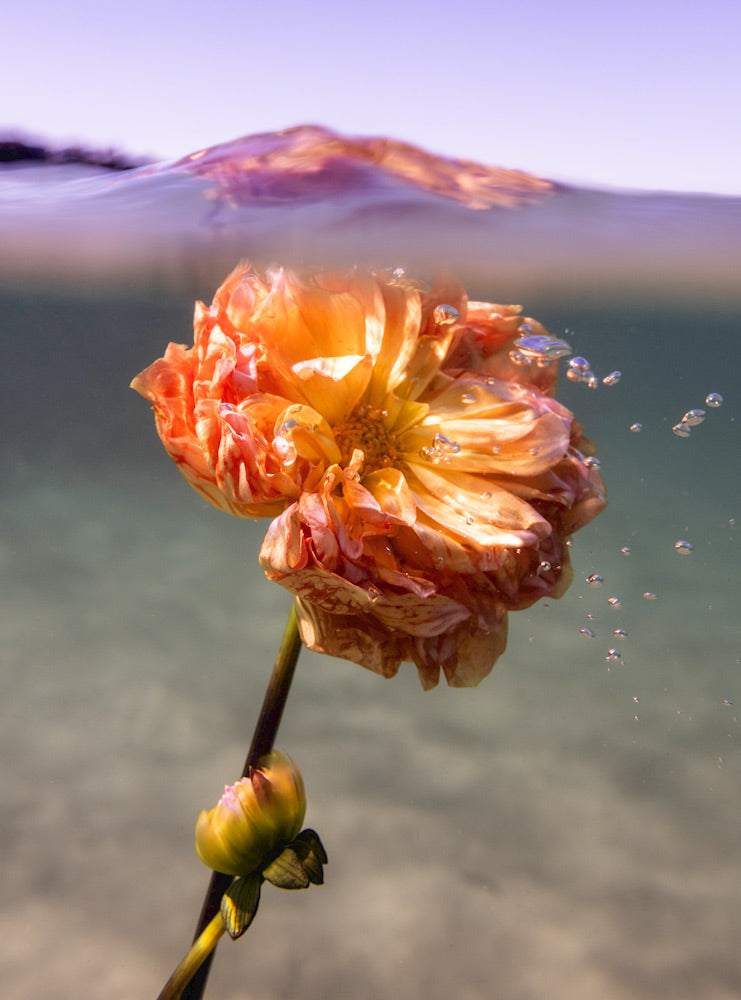 Wall Art Viewer Frames Render