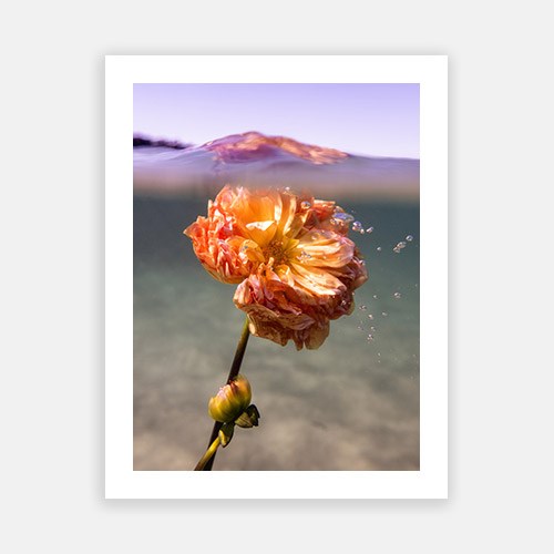 Wall Art Viewer Frames Render