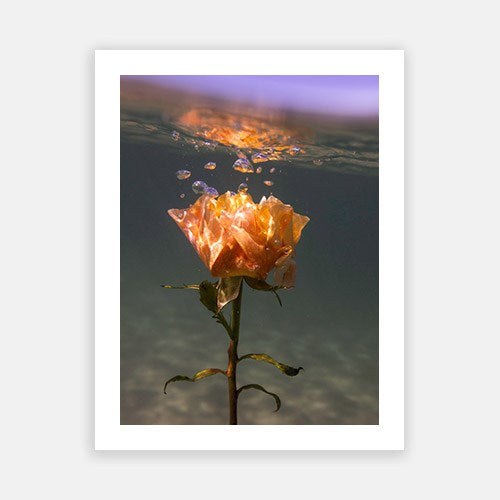 Wall Art Viewer Frames Render