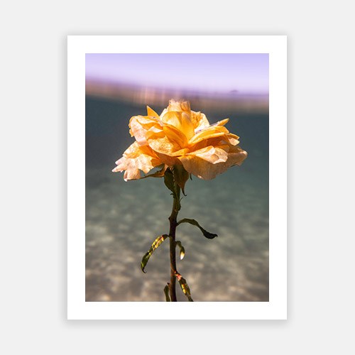 Wall Art Viewer Frames Render