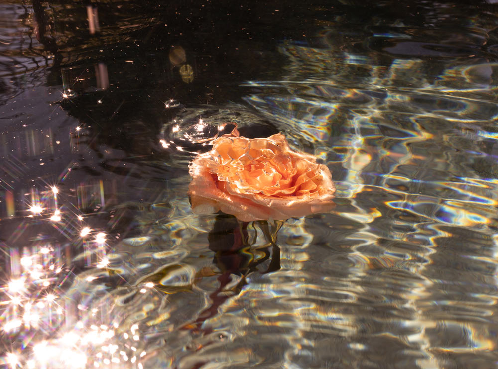 Wall Art Viewer Frames Render