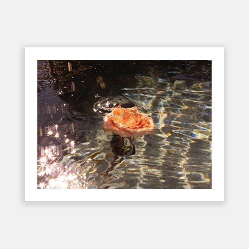 Wall Art Viewer Frames Render