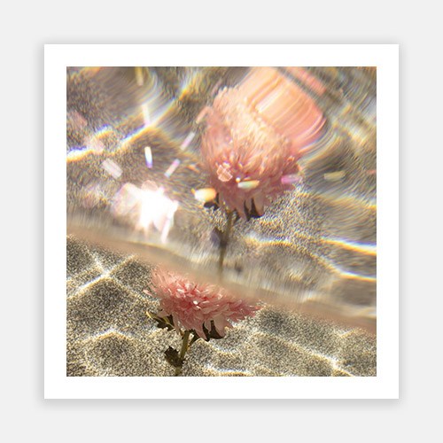 Wall Art Viewer Frames Render