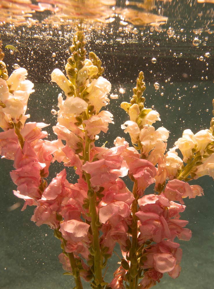 Wall Art Viewer Frames Render