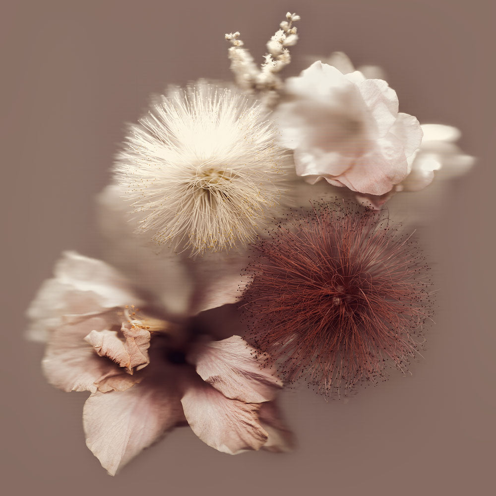 Wall Art Viewer Frames Render