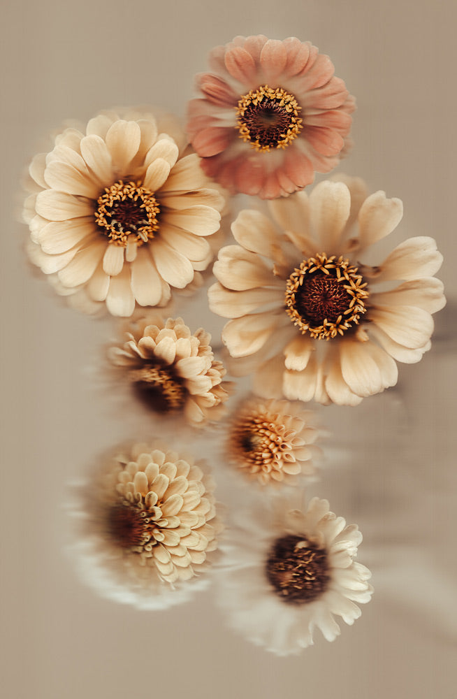 Wall Art Viewer Frames Render