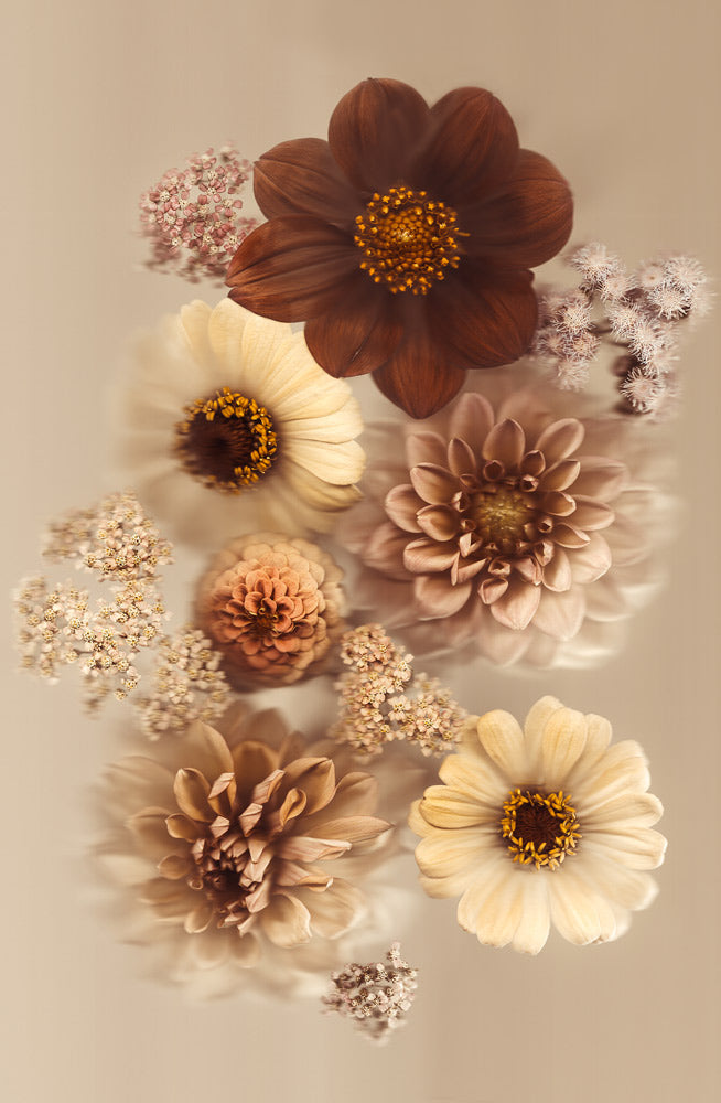 Wall Art Viewer Frames Render