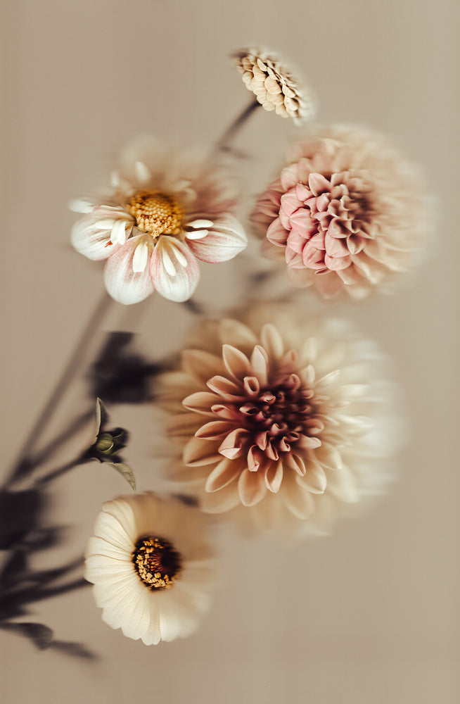 Wall Art Viewer Frames Render