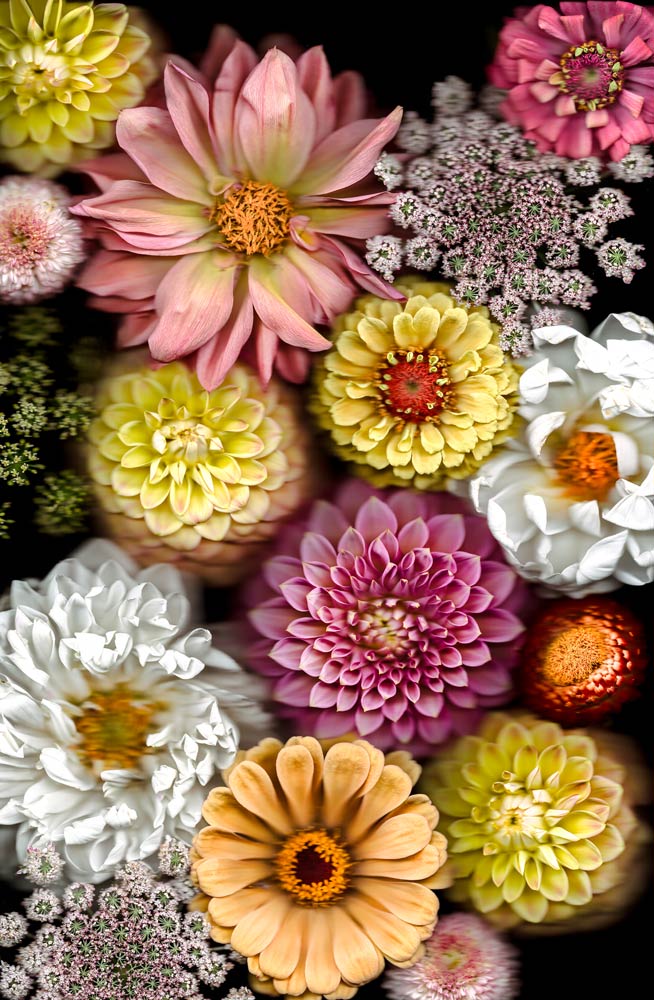 Wall Art Viewer Frames Render