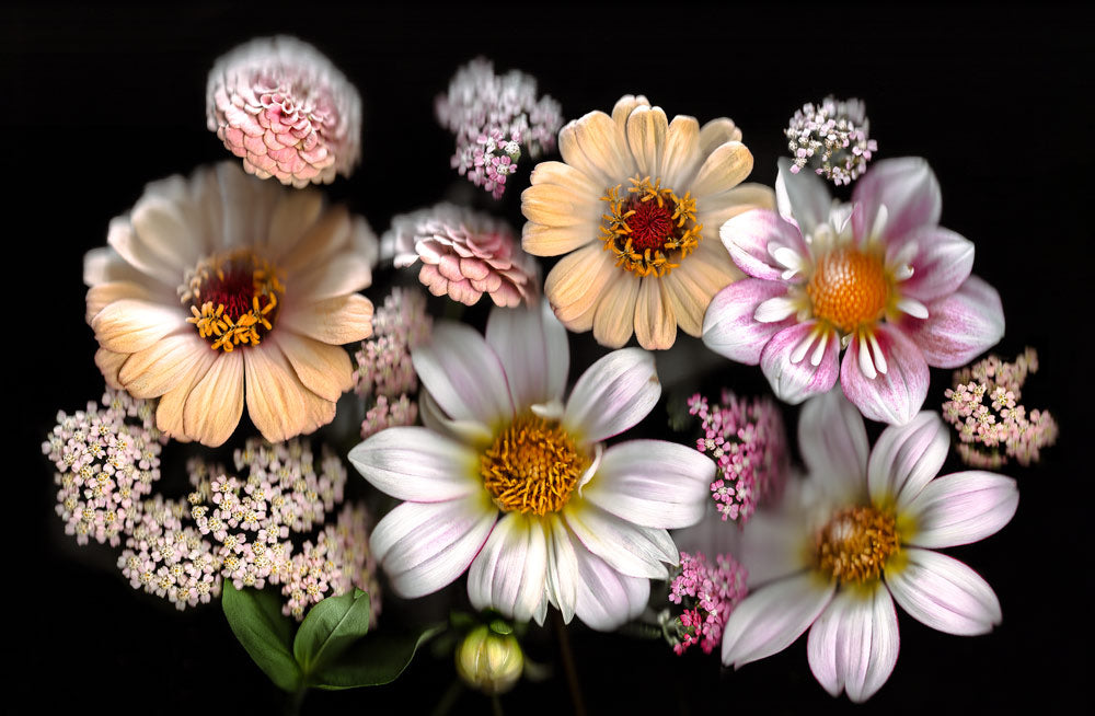 Wall Art Viewer Frames Render