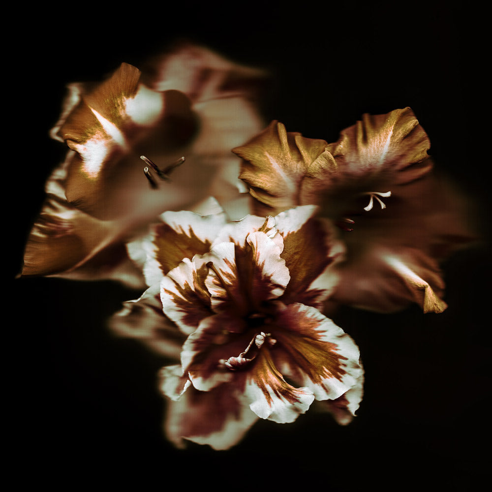 Wall Art Viewer Frames Render