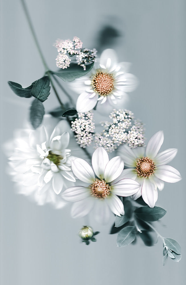 Wall Art Viewer Frames Render