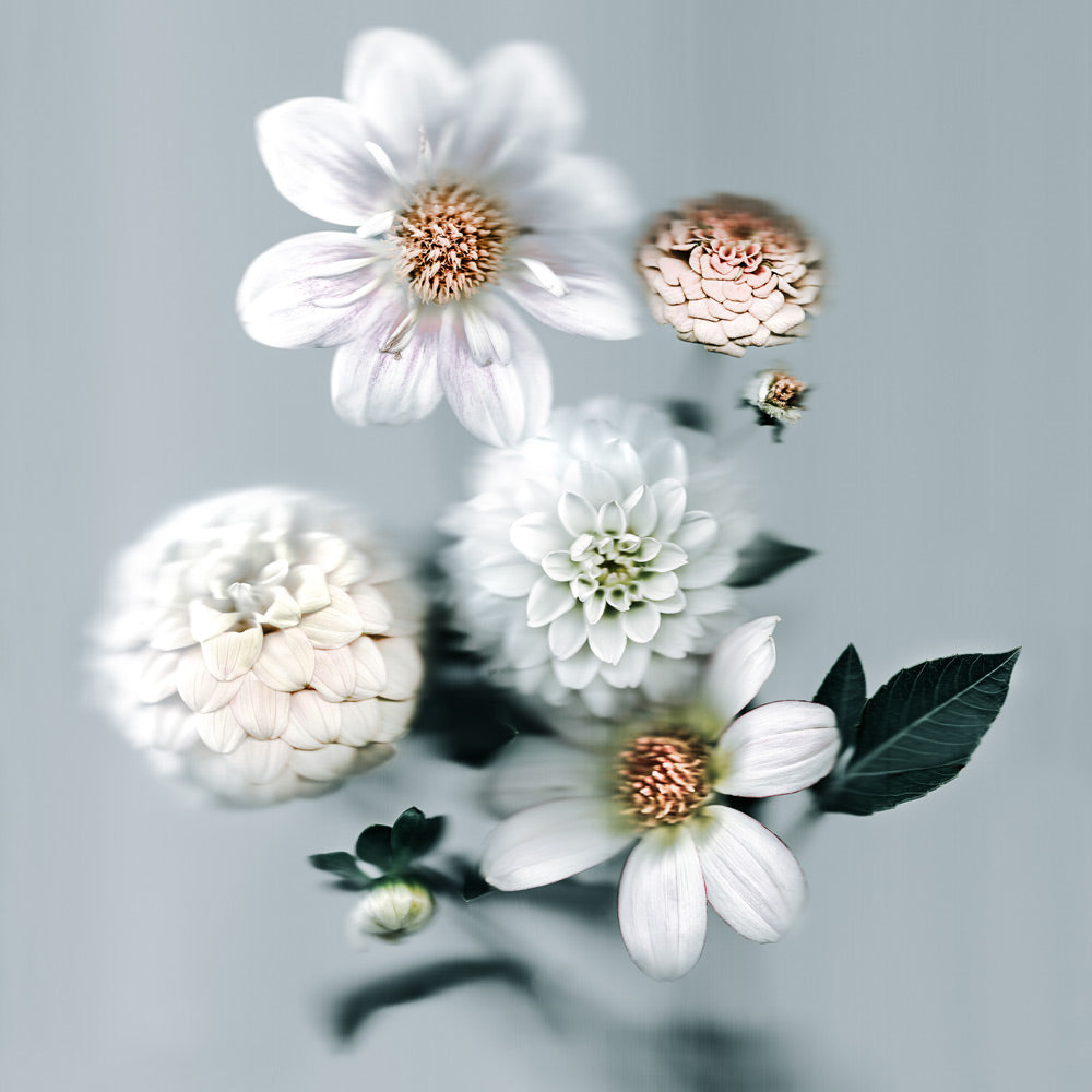 Wall Art Viewer Frames Render