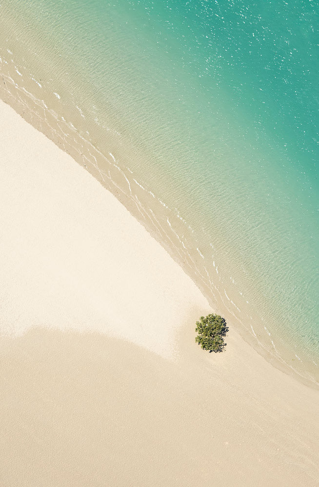 Wall Art Viewer Frames Render