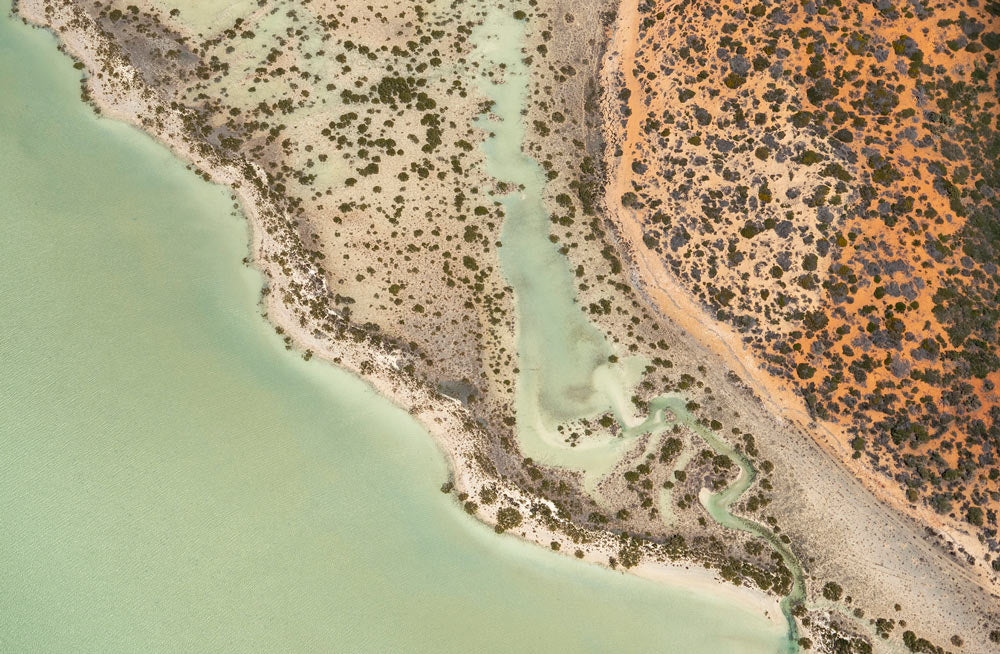 Wall Art Viewer Frames Render