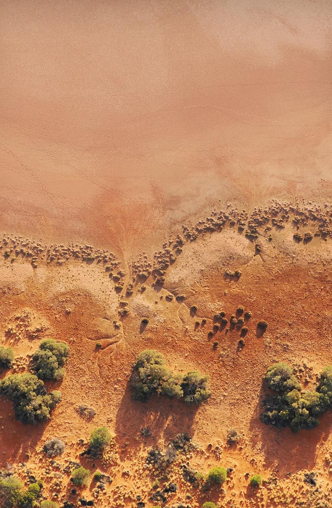 Wall Art Viewer Frames Render