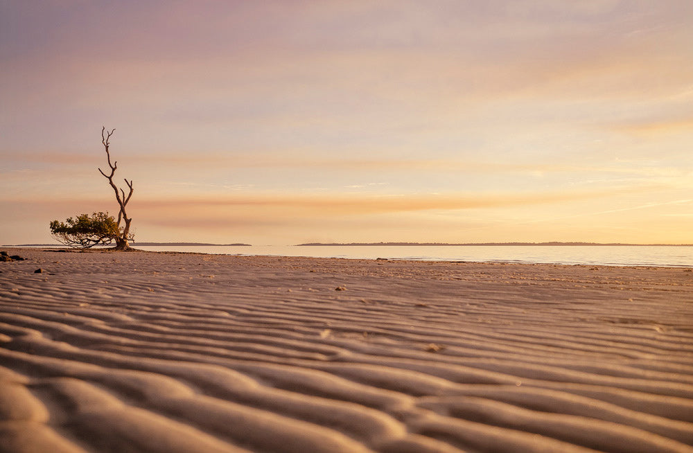 Wall Art Viewer Frames Render