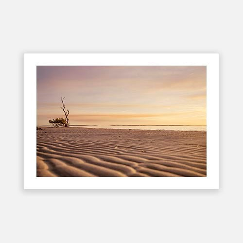 Wall Art Viewer Frames Render