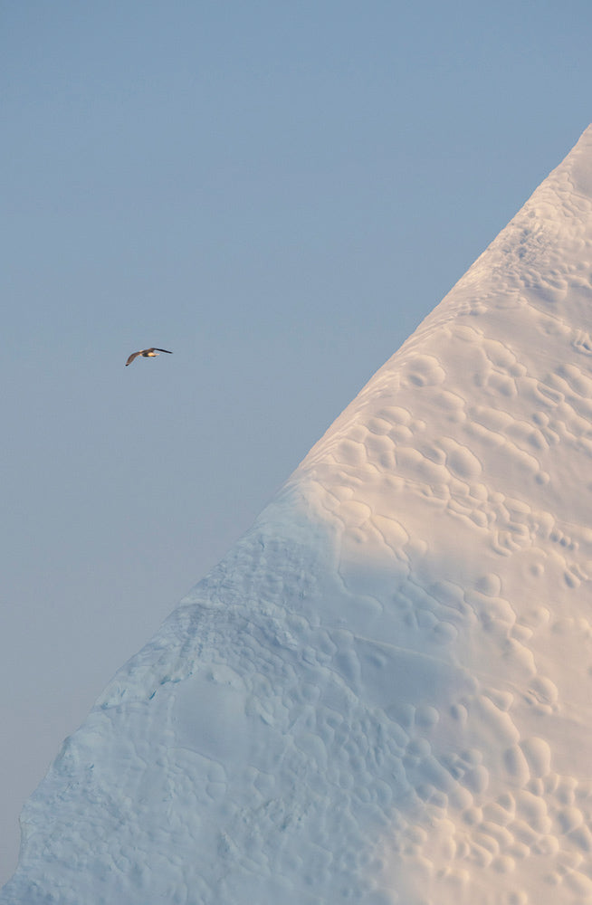 Wall Art Viewer Frames Render