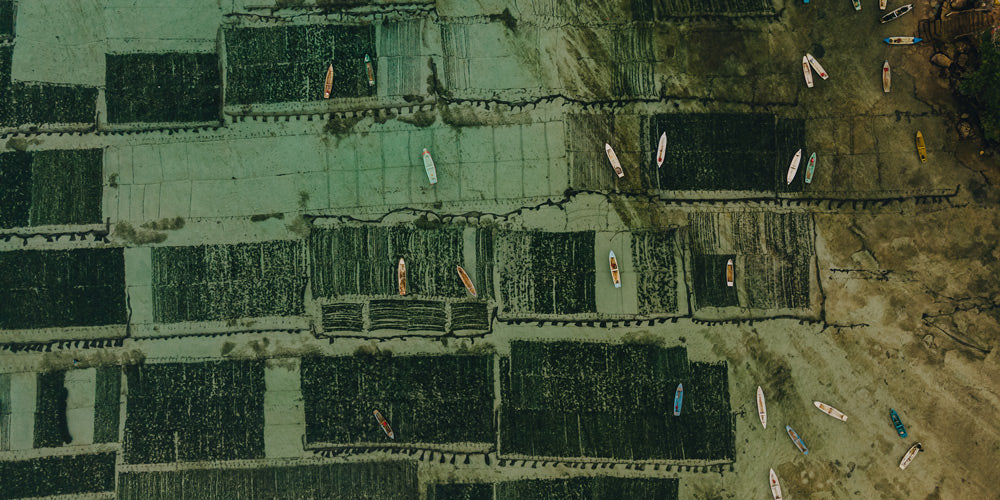 Wall Art Viewer Frames Render